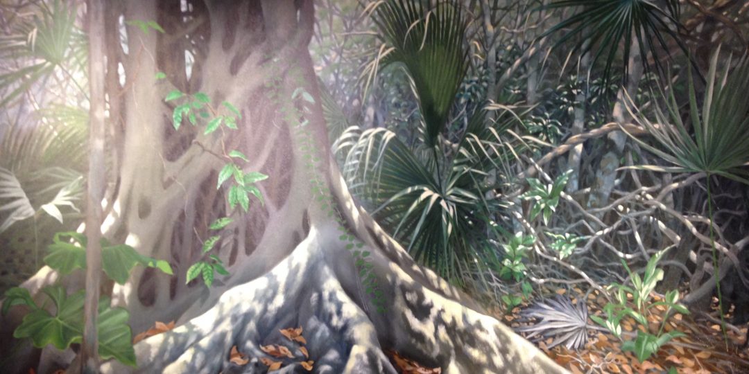 Yucatan puma diorama detail